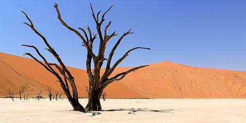 6-Day Cape Town, Aquila Safari & Sossusvlei Tour