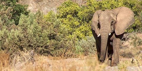 3-Day Etosha National Park Guided Tour