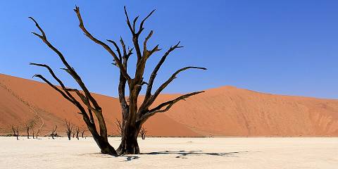 4-Day Desert Dash Tour- Sossusvlei & Coast (Guided Tour)