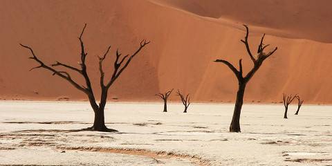 Best of Sossusvlei & Swakopmund from Windhoek