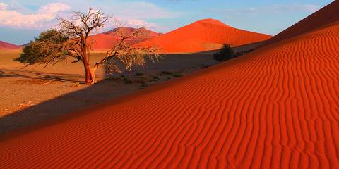 Explore Windhoek, Sossusvlei and Deadvlei