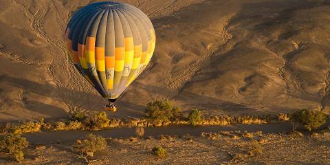 Namibia Highlights - Dune, Desert & Wildlife
