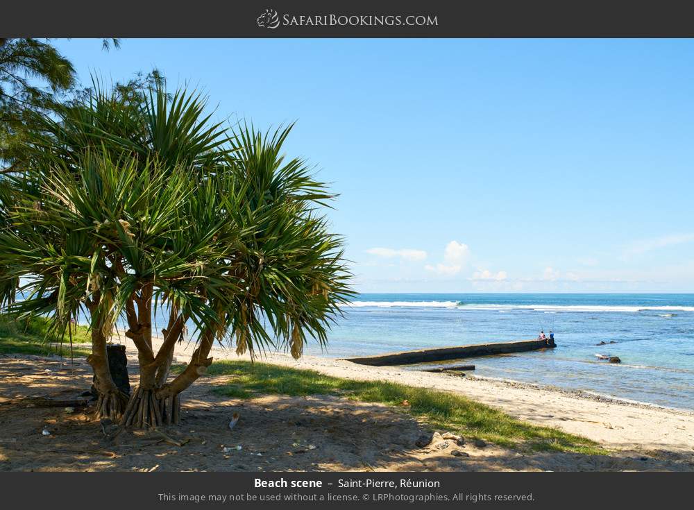Beach scene at Saint-Pierre in Saint-Pierre, Réunion