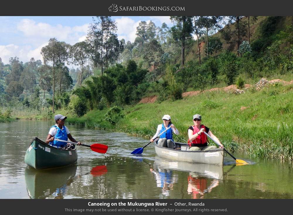 Canoeing on the Mukungwa River in Mukungwa River
, Rwanda
