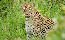 Akagera National Park