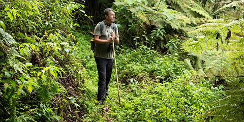3-Day Trek Golden Monkey in Rwanda and Bisoke Hike Tour