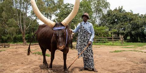 Of Rwanda Experience -the Land of a Thousand Hills