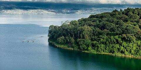Lake Kivu and Nyungwe National Park Tour
