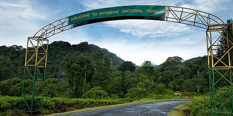 Nyungwe National Park Adventure