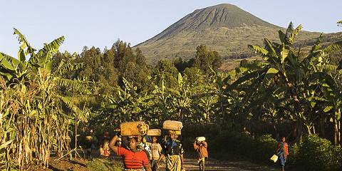 Scenic Adventures Safari