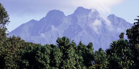 Mountain Gorilla Trekking & Virunga Mountain Hike