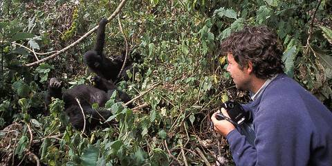 6-Day Rwanda Gorillas, Chimps and Golden Monkeys Safari
