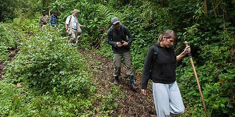 4-Day Akagera Safari, Gorilla & Golden Monkey Experience