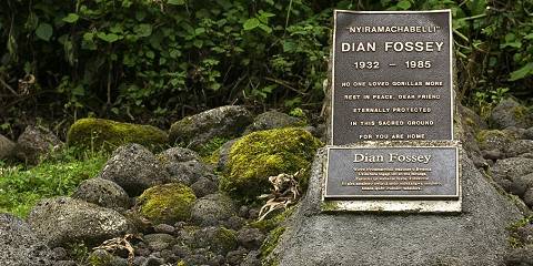 1-Day Dian Fossey Tomb Hike