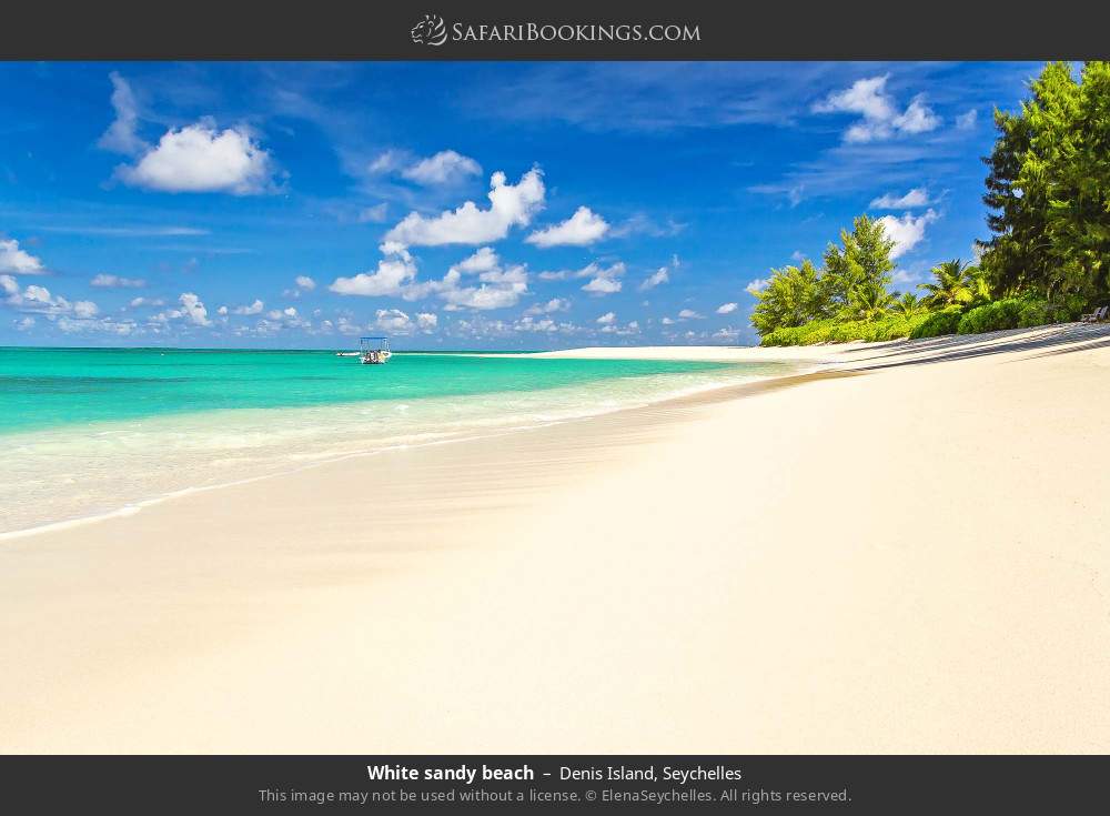 White sandy beach on Denis Island in Denis Island, Seychelles