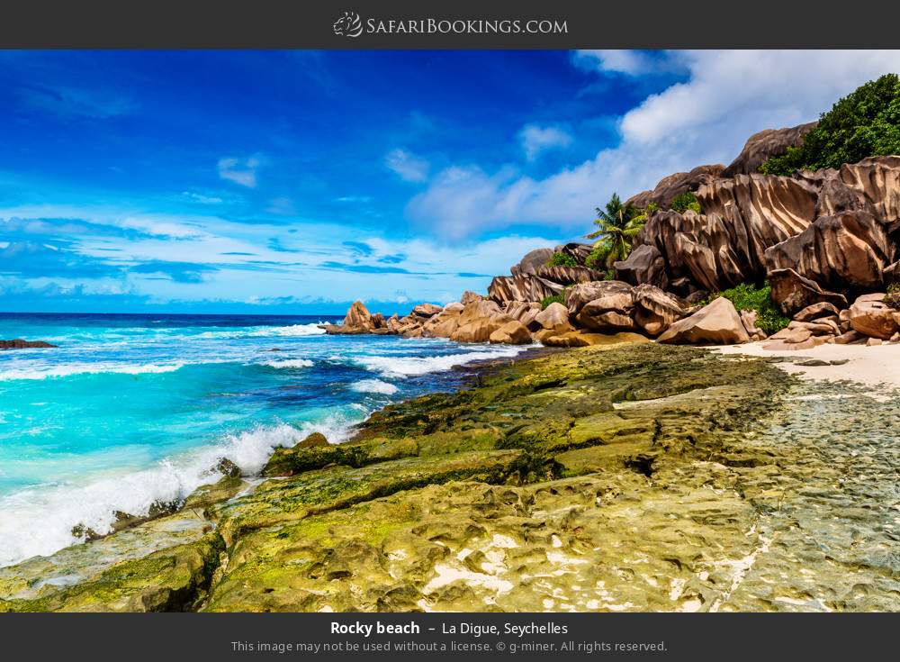 Rocky beach on La Digue Island in La Digue, Seychelles