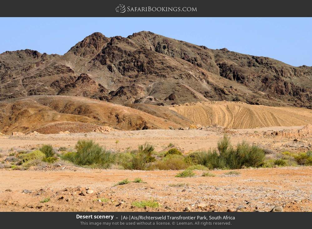 Desert scenery in |Ai-|Ais/Richtersveld Transfrontier Park, South Africa