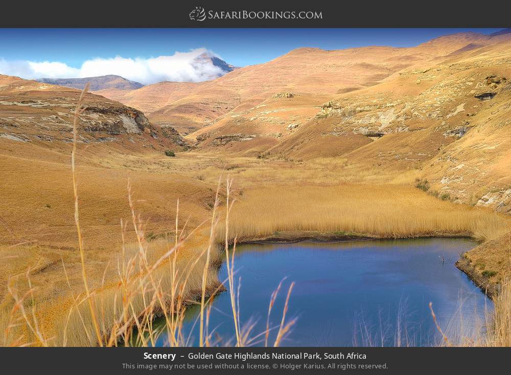Scenery in Golden Gate Highlands National Park, South Africa