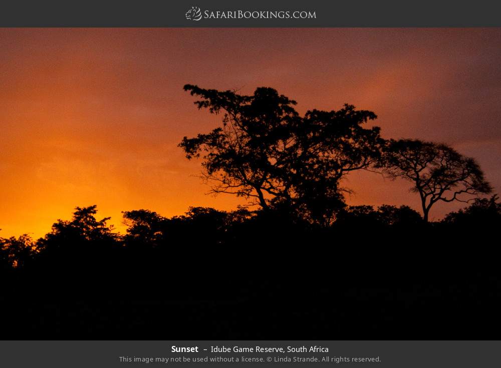 Sunset in Idube Game Reserve, South Africa