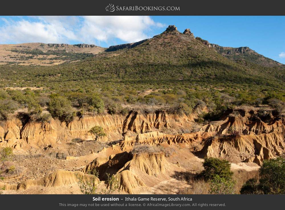 Soil erosion in Ithala Game Reserve, South Africa