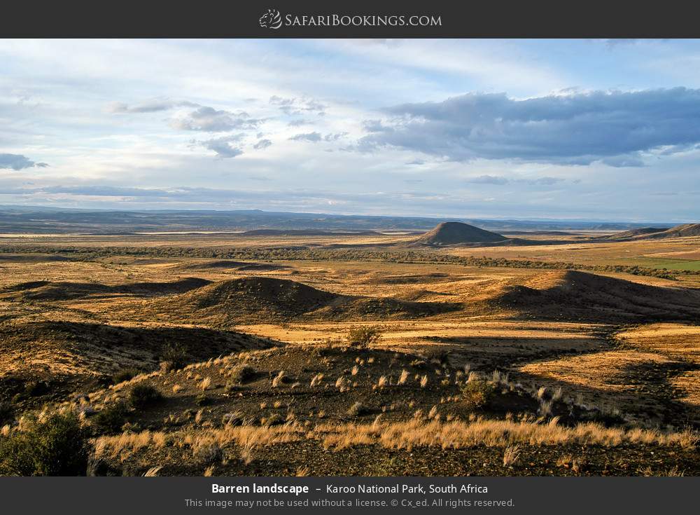 Barren landscape in Karoo National Park, South Africa