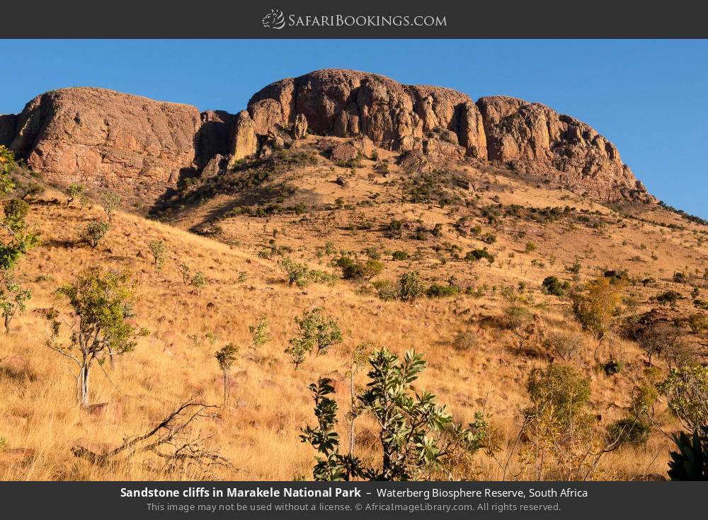 Sandstone cliffs in Marakele NP in Waterberg Biosphere Reserve, South Africa