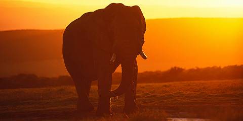 3-Day Budget Friendly Crocodile River Kruger Park Safari