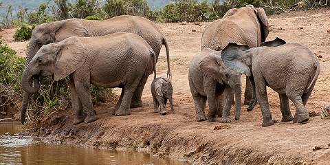 3-Day Kruger Budget Tented Safari