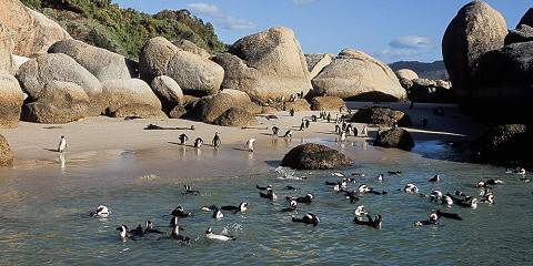 14-Day Best of South Africa, Zimbabwe, Botswana & Namibia