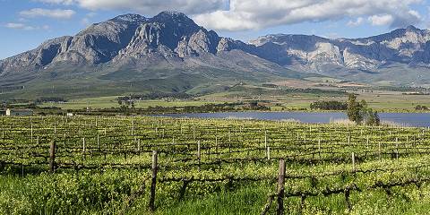 Explore the Cape Winelands – Paarl to Franschhoek