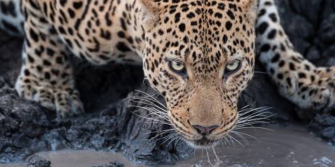 3-Day Dumela Budget Safari Camping Fly-in Cape Town