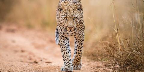 3-Day Kruger NP Budget Tour