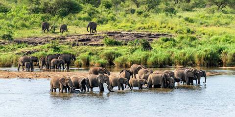 Kruger National Park Tour