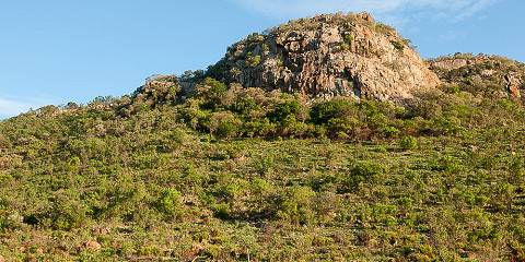 2-Day Pilanesberg Safari from Johannesburg
