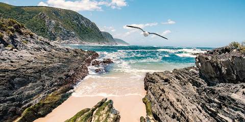 5-Day Garden Route Adventure