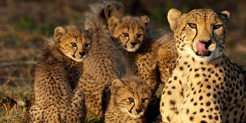 3-Day Kruger Budget Safari
