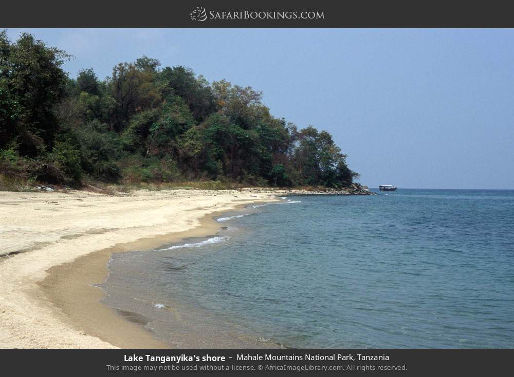 Shore of Lake Tanganyika in Mahale Mountains National Park, Tanzania
