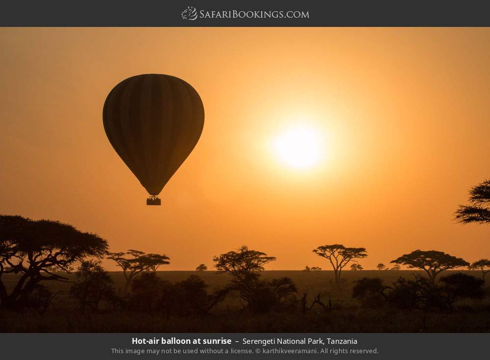 Hot-air balloon at sunrise over the Serengeti in Serengeti National Park, Tanzania