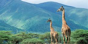 Open Photos