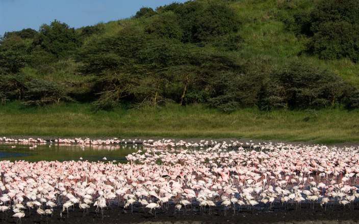 Open Photos
