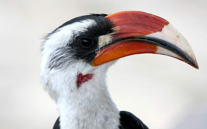 Open Photos
