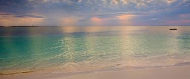 Ocean view