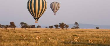 Hot-air balloons flying over a herd of Thomson's gazelles