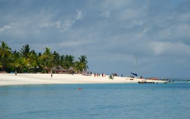Thumbnail of Palm-lined beach