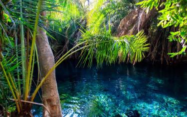 Hot springs