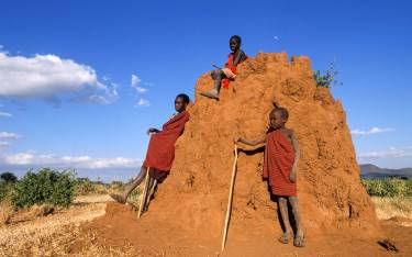 Maasai boys sitting on a termite mound