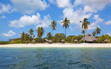 Palm-lined sandy beach