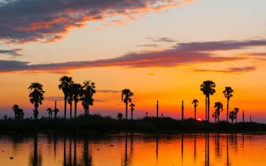 Sunset with palm trees on Lake Manze