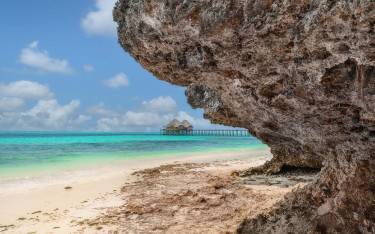Thumbnail of Coral outcrop on the beach