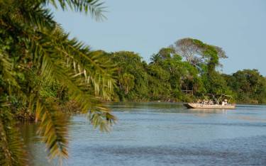Boat safari on the Wami River